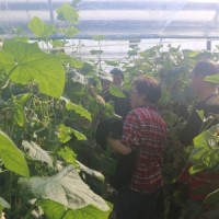 150214　ネット職員産地訪問 001